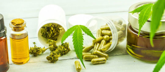 Expert en produits santé et bien-être