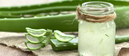 Aloe Vera